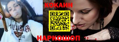 ешки Кингисепп