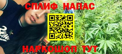 ешки Кингисепп