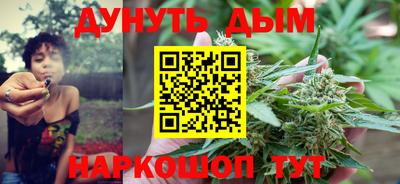 ешки Кингисепп