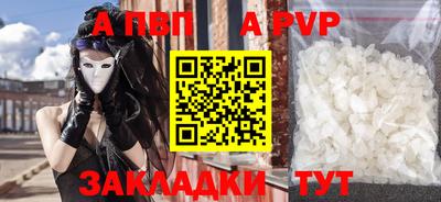 ешки Кингисепп