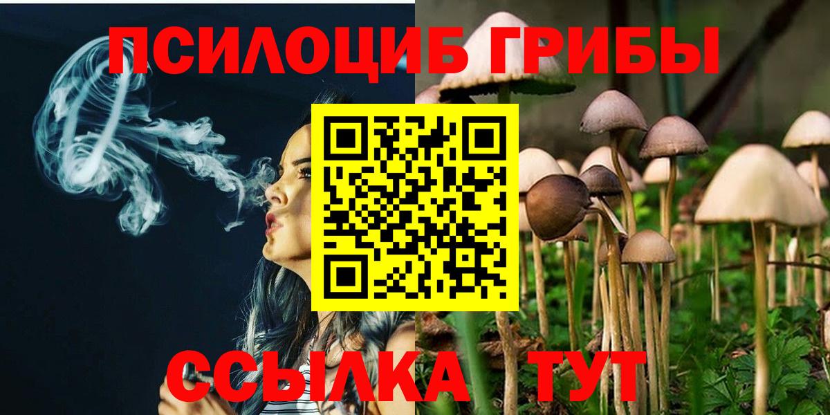 Псилоцибиновые грибы прущие грибы Лиски